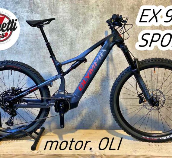 EX 900 SPORT – motore OLI